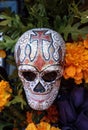 Flower and skeleton alter at Dia de los Muertos Royalty Free Stock Photo