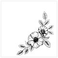 Flower sketch. Floral elements. A branch with a flower of wild rose. Corner layout. Hand drawn vector illustration