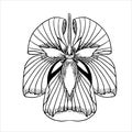 Flower sketch isolate on white. Vector illustration