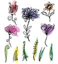 Flower sketches set