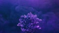 Flower smoke paint water blue color petals mist Royalty Free Stock Photo