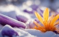 Flower in snow with lightning effects. AI