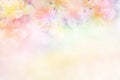 flower soft background in pastel tone for valentine