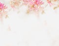 Flower soft background in pastel tone for valentine or wedding .Vintage spring flower background. Flower design template.