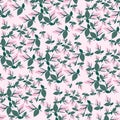 Flower background,flower design,floral pattern, banner design,textile design,texture design.