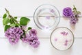 Flower SPA concept Royalty Free Stock Photo