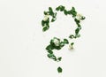 Flower spring question mark on white. Green leaves. Interrogative floral card. Holiday background.