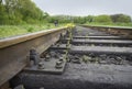 Flower sprouting between railway sleepers Royalty Free Stock Photo