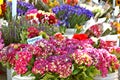 Flower Stall