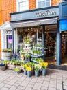 Flower stall in Hartley Wintney High Street.