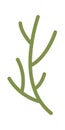 Flower Stem Illustration