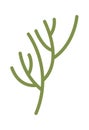 Flower Stem Illustration