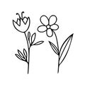 Flowers on a stem with leaves hand drawn in doodle style. set of elements scandinavian monochrome minimalism simple . plant,