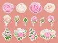 Flower stickers. Rose bouquet, pink roses decorative compositions. Floral elements for cards, invitation, wedding decor Royalty Free Stock Photo