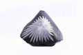 Flower Stone is also known as Chrysanthemum Stone