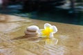 Flower and stones in hotel spa Royalty Free Stock Photo