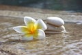 Flower and stones in hotel spa Royalty Free Stock Photo