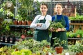 in flower store, women seller wait for customers to help pick up undemanding plant