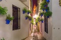 Flower street Calleja de las Flores Cordoba, Spain