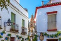 Flower Street in Cordoba