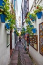 Flower Street in Cordoba