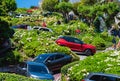 Flower Street at san francisco Royalty Free Stock Photo