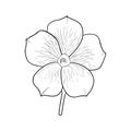 Flower in the style of Doodle.Outline drawing of a flower by hand.Veined petals.Black and white image.Monochrome design.Batanic