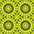 Flower summer floral seamless pattern. symmetry nature Royalty Free Stock Photo