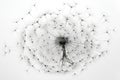 Flower summer freedom concept wind macro white blowball dandelion plant seeds Royalty Free Stock Photo