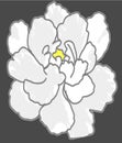 This flower symbolizes purity.