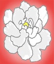 This flower symbolizes purity.