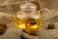 Flower tea brewed in a glass teapot and balls of flower tea on a background of rough homespun fabric. Close up Royalty Free Stock Photo