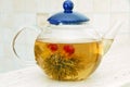 Flower tea in glass pot Royalty Free Stock Photo