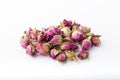 Flower tea rose buds on white background. Royalty Free Stock Photo