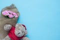 Flower and teddybear on blue background, Special day concept