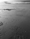 Flower traced in the sand