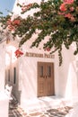 a flower tree in the courtyard of a white building in mykon