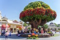 Flower with tree in everland