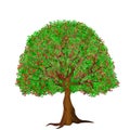 Flower tree illustration Royalty Free Stock Photo