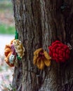 Flower Tree knitted texture bark Royalty Free Stock Photo