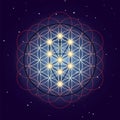 Flower and Tree of Life, sacred geometry on starry sky background Royalty Free Stock Photo