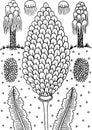 Flower and trees - doodle coloring page for adults. Summer landscape. Vector illustration