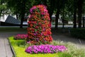 Flowers at the Esplanade Park. Riga, Latvia