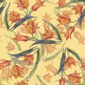 Yellow tulips bouquet of color pencil. Floral seamless pattern for design on a cream background. Royalty Free Stock Photo