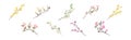 Flower Twig and Branch with Tender Blooming Flora Vector Set Royalty Free Stock Photo