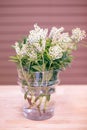 Flower vase Royalty Free Stock Photo