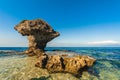 Flower Vase Coral Rock at Lamay island Royalty Free Stock Photo