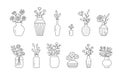 Flower in vase doodle illustration including different floral bouquets. Hand drawn cute line art about plants in