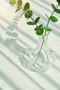 Flower vase, Glass reflect sunlight shadow effect, Summer still life scene, Transparent glittering glasses of water Royalty Free Stock Photo