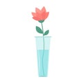 Flower in vase. Glass vases with blue water. Cute colorful icon collection. Pink flowers. Ceramic Pottery Glass decoration. White Royalty Free Stock Photo